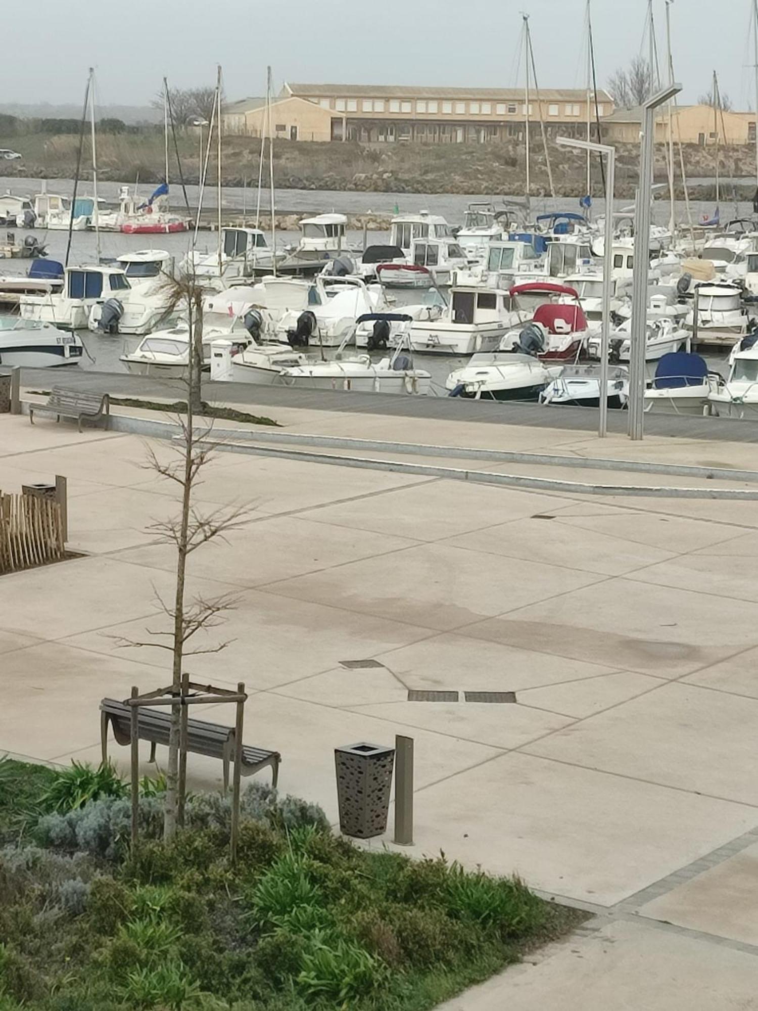 Studio Valras Vue Port Et Mer Wi-Fi Gratuit Extérieur photo